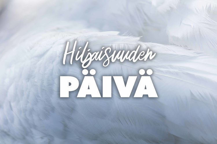 Hiljaisuuden päivä Hiljaisuuden päivä